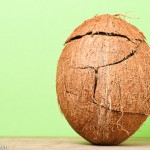 Opengemaakt kokosnoot in oorspronkelijke vorm